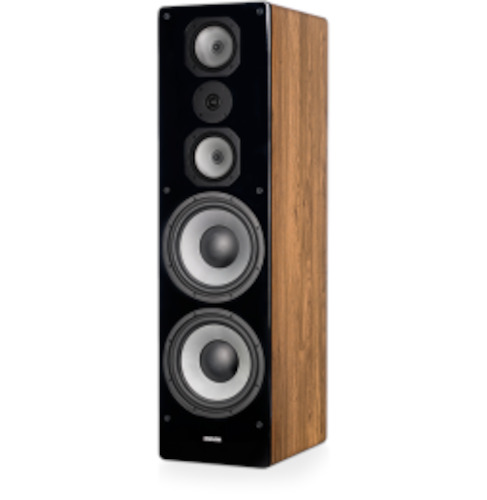 Floorstanding Speakers (13)