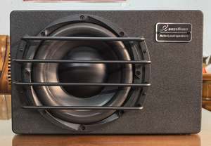 Car Audio: LER Audio ST-10 Powered Subwoofer – Compact Powerhouse for Serious Bass