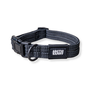 Mackenzie Collar Southern Buddy