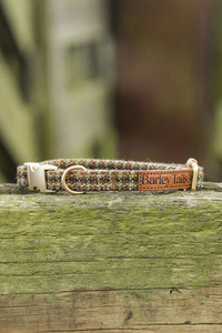 Tussock Tweed Collar Southern Buddy