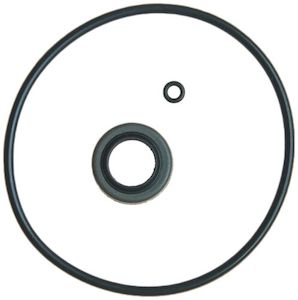 Steering Suspension: Power Steering Box Input/Worm Shaft Seal Set (A, B, C & E-Body)