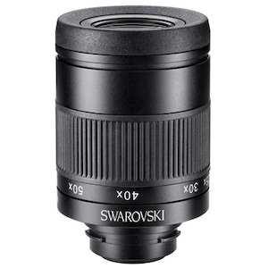 SCOPE ACCESSORIES: SWAROVSKI EYEPIECES