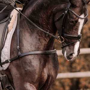 Clearance: Alicia Dressage Breastplate
