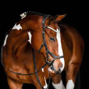 Clearance: Azure Micklem Style Bridle