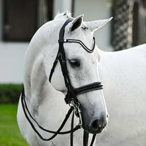 Saphira Double Bridle