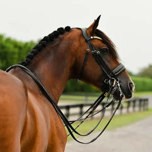 Delta Double Bridle