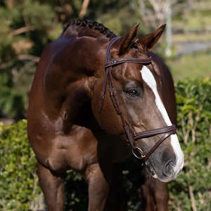 Lumiere: Delaney Snaffle Bridle