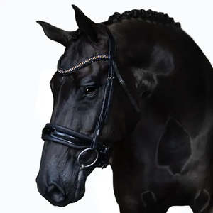 Ariana Cavesson Snaffle Bridle
