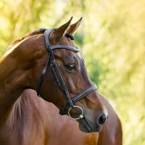 Milan Convertible Bridle