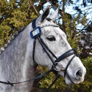 Bridles Accessories: Anastasia Bridle