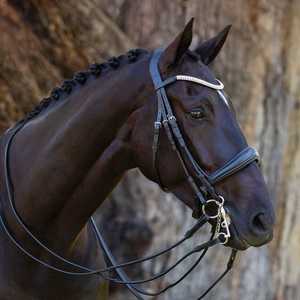 Bridles Accessories: Madeline Italian Leather Double Bridle