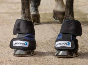 Collection: Cryochaps Ice Wrap Pair Pastern/Hocks/Knees