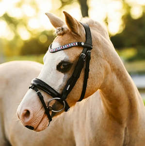 Unicorn Pony Bridle