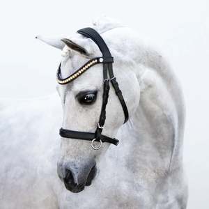 Cavesson: Iddy Biddy Bitless Pony Bridle