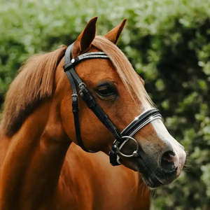 Cavesson: Princess Pony Bridle
