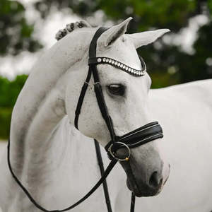 Diva Snaffle Bridle