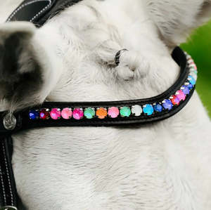 Bridle Accessories: Rainbow Browband