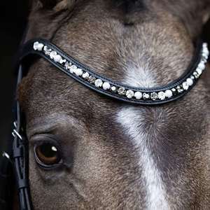 Bridle Accessories: Mercury Browband