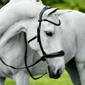 Lumiere: Lumiere Skyla Bitless Bridle