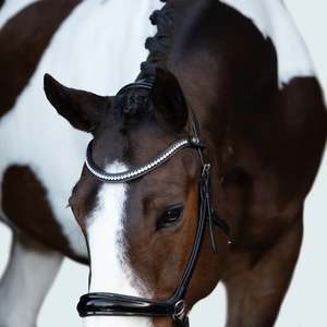 Lumiere: Lumiere Symphony Bitless Bridle