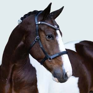 Lumiere: Lumiere Santiago Bitless Bridle