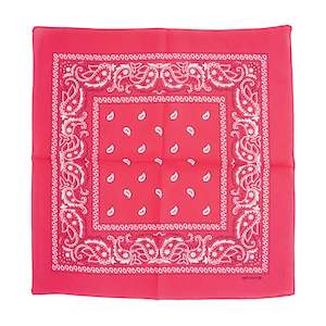 Ivys Accessories: Small Scarf