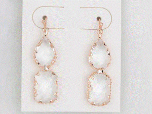 Clear Earrings