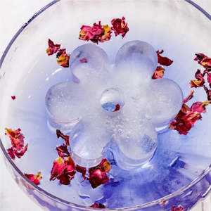 Drinks Plinks Ice Cube Tray