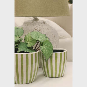 Plants Planters: Lime Green Stripe Planters