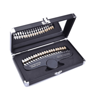 Shade Guide in Silver & Black Case with 20 tooth colours - Sparkle White