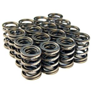 BLOX Racing Valve Spring Set - B-Series DOHC VTEC / NON-VTEC