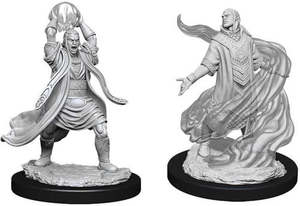 Nolzurs Marvelous Elf Sorcerer Male