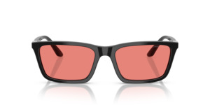 Emporio Armani: Emporio Armani 4239U