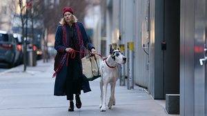 ‘The Friend’ – Review