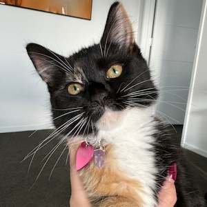 All Pendants 1: Crystal Collar Charms