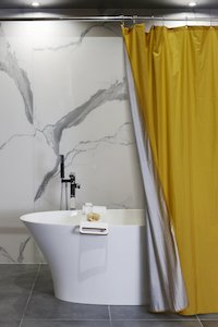 Fabric Shower Curtain: Metallics Range