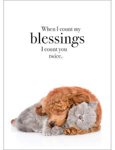Affirmations: Affirmations When I Count My Blessings Card
