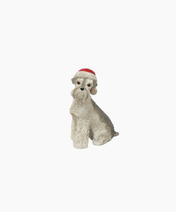 FC Schnauzer with Santa Hat
