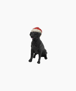 Homeware: FC Black Dog with Santa Hat
