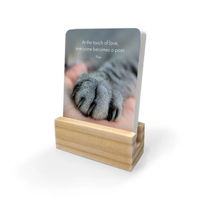 Affirmations 24 The Great Catsby