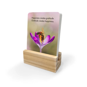 Affirmations: Affirmations 24 Just Bee Cards + stand