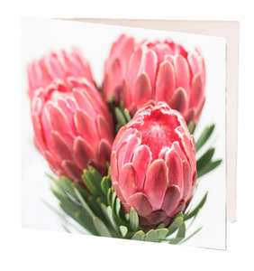 Cards: TT Little Card Pink Proteas 7cm