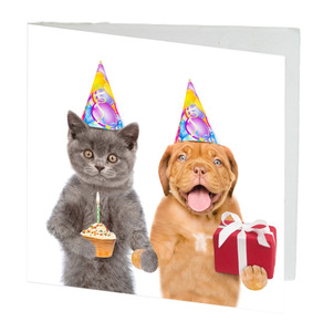 Cards: TT Little Card Birthday Cat Dog 7cm