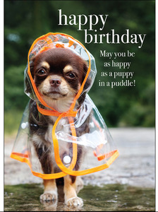 Cards: Affirmations Happy Birthday Card - Puppy in a Puddle
