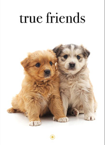 Affirmations Card - True Friends