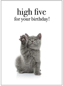 Affirmations: Affirmations Card - high five for your birthday!