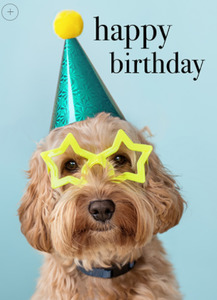 Affirmations: Affirmations Card - HB you party animal