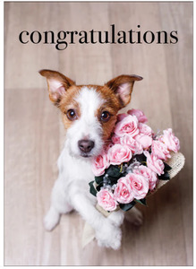 Cards: Affirmations Card - Congratulations
