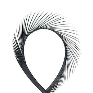 Hackles Feathers: Wapsi Goose Biots