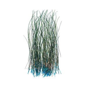 Hackles Feathers: Veniard Peacock Herl Strung